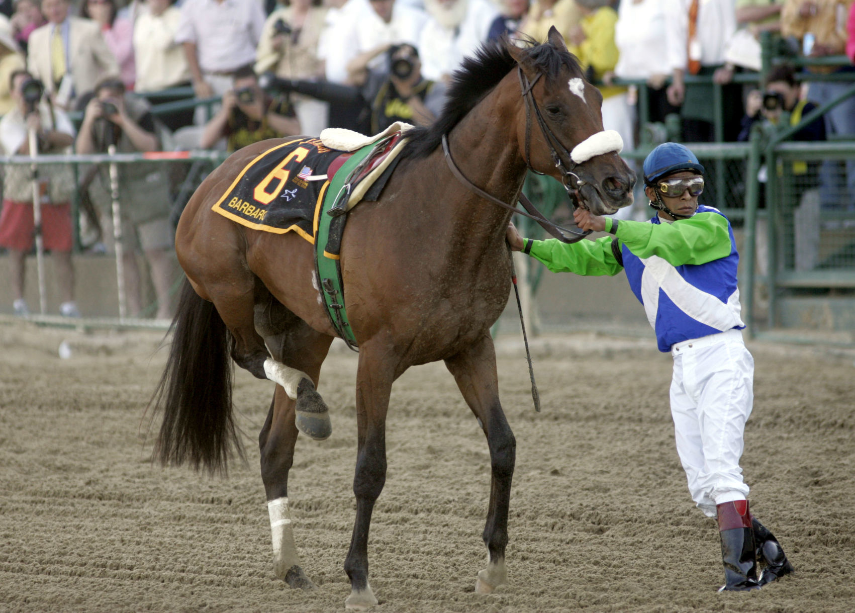 2006: Kentucky Derby winner Barbaro breaks leg at Preakness